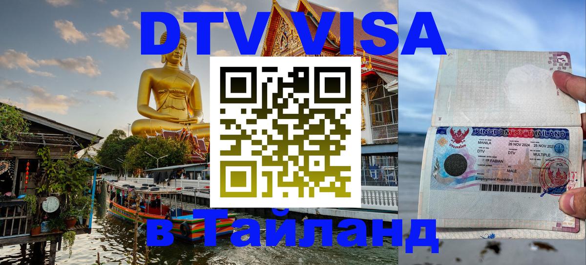 Сколько стоит DTV виза — актуальные цены, оформление даже без документов - Ессентуки  20.11.2025 